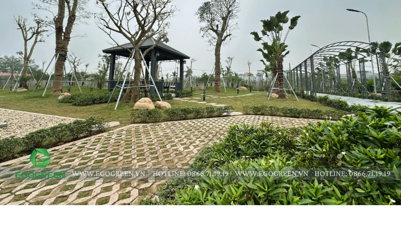 Thi công sân vườn biệt thự: 7 hạng mục không nên cắt giảm chi phí